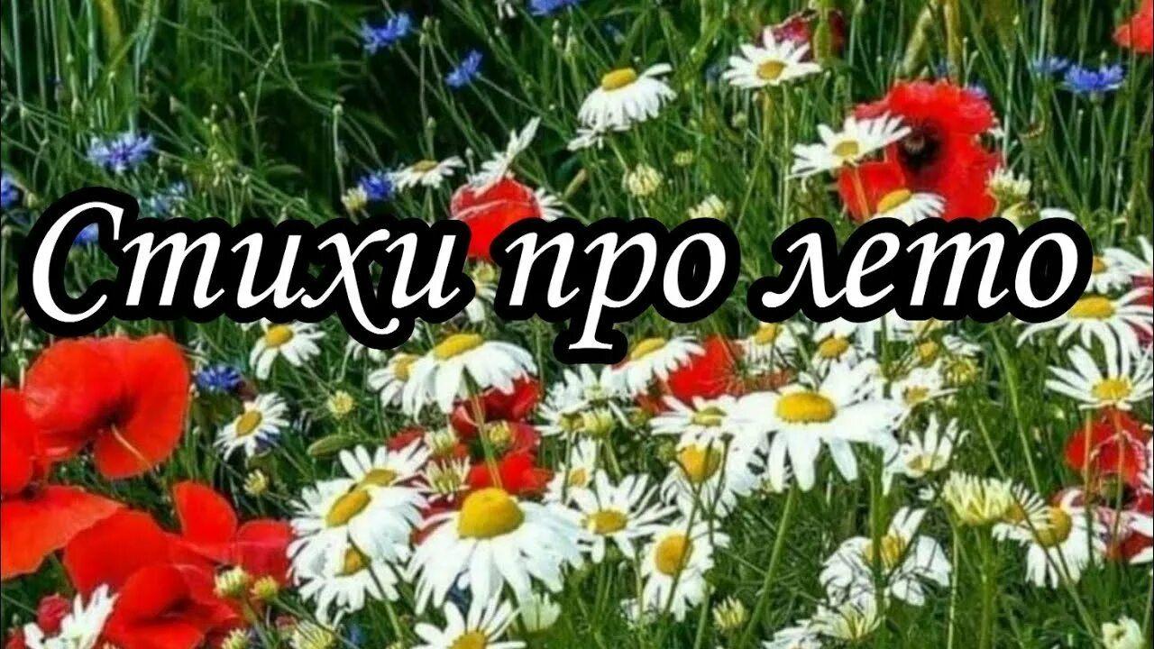 «Поэтическая гостиная» Вечер творчества «Стихи о лете».