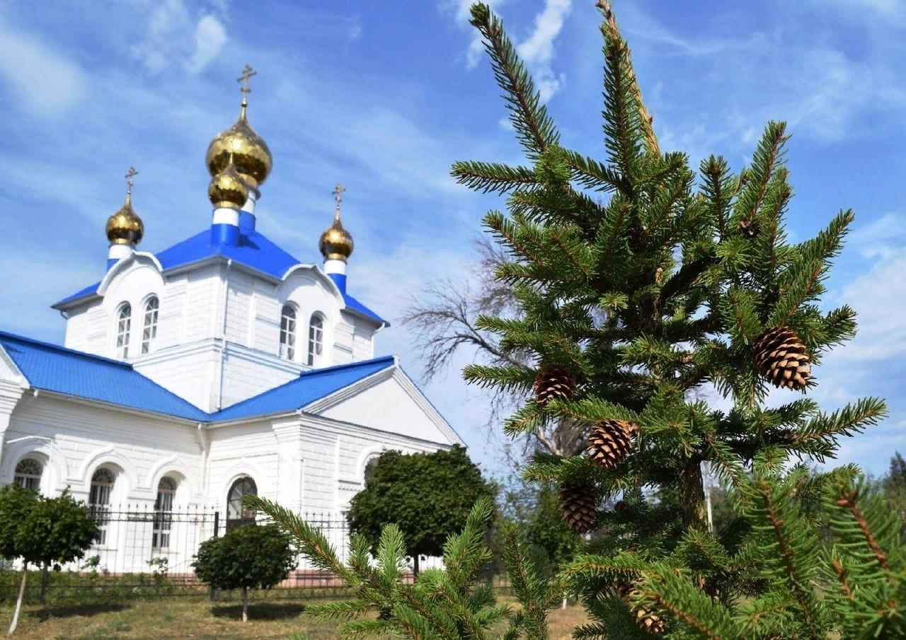 Квест «Всему начало здесь, в краю моем родном…»