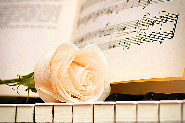 Дворец культуры г. Ржева