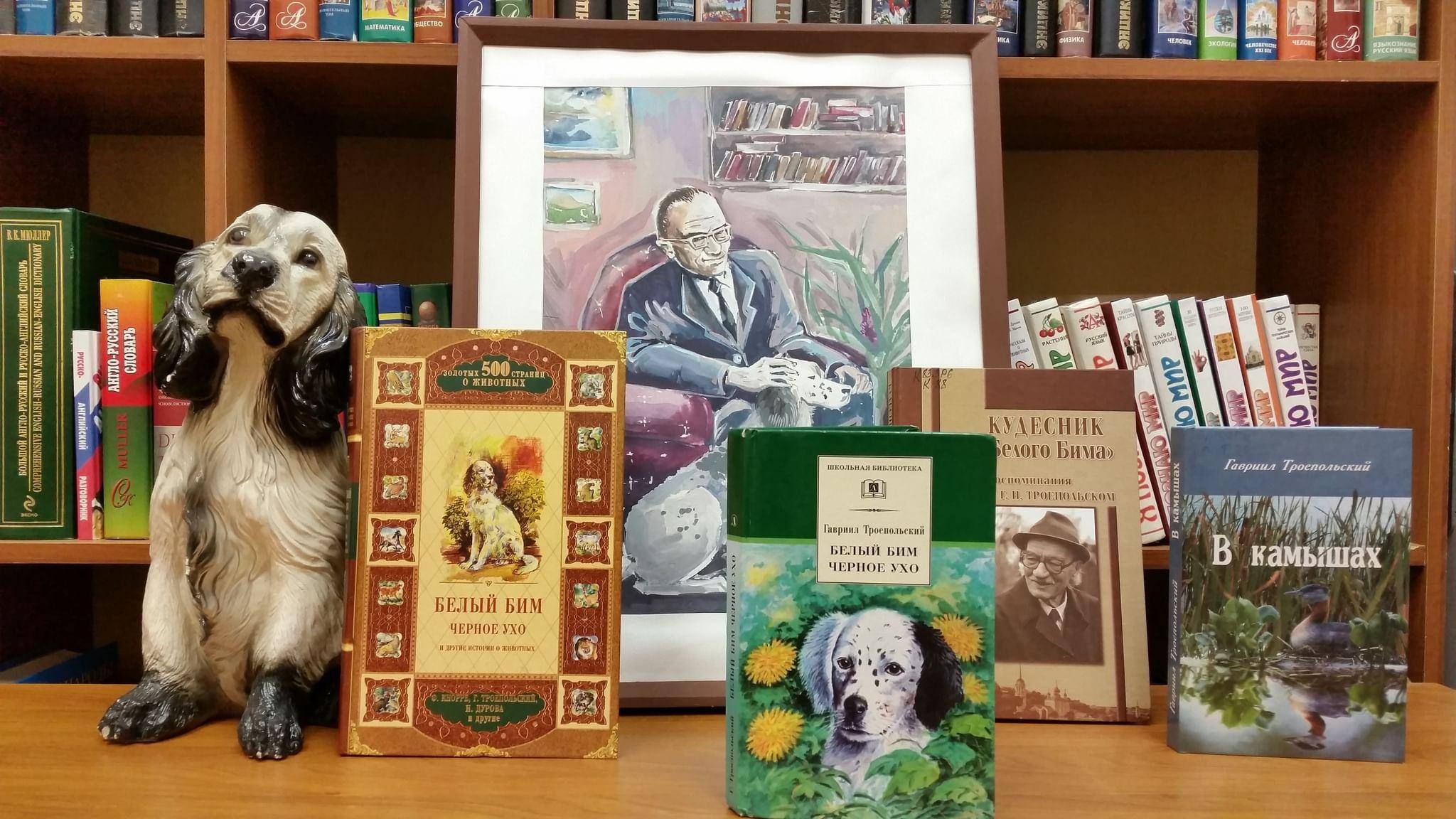 Литературный час «Добрые уроки грустной повести»