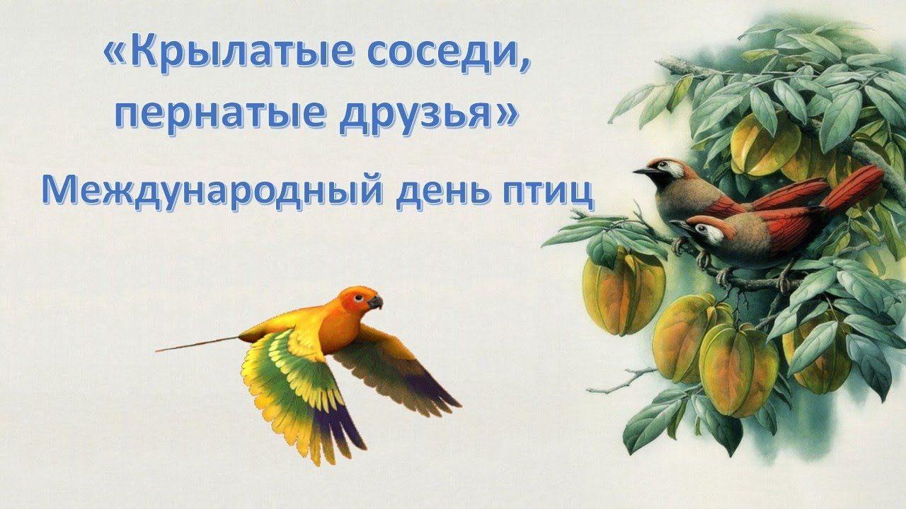 «Наши крылья друзья» (экологический час к международному дню птиц