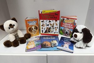 Выставка-ребус «Похитители наших сердец»