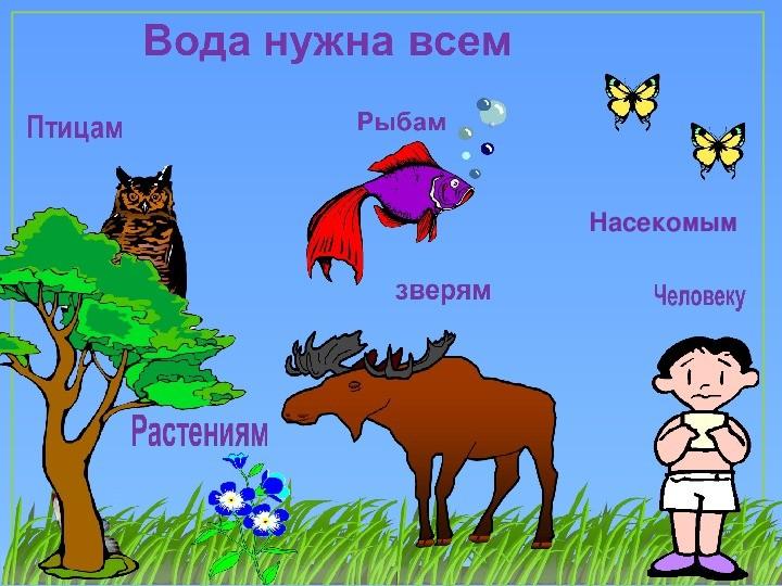 «Кому и зачем нужна вода?» Экологическая викторина.