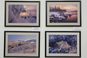 Передвижная выставка «Застывшие мгновения зимы»