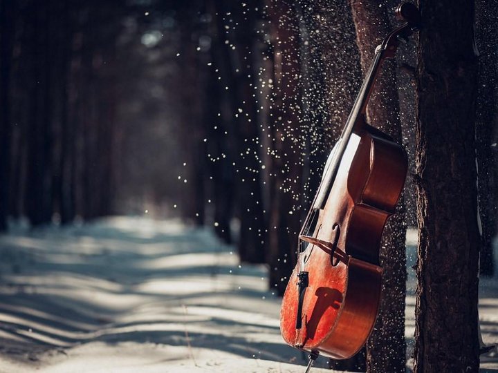 Концерт «Зимний вечер музыки»