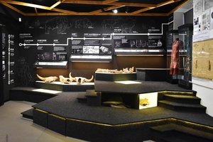 Экспозиция исторического отдела