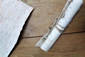 Познавательная программа «Берестяная грамота»