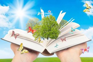 Выставка «О природе поэтической строкой»