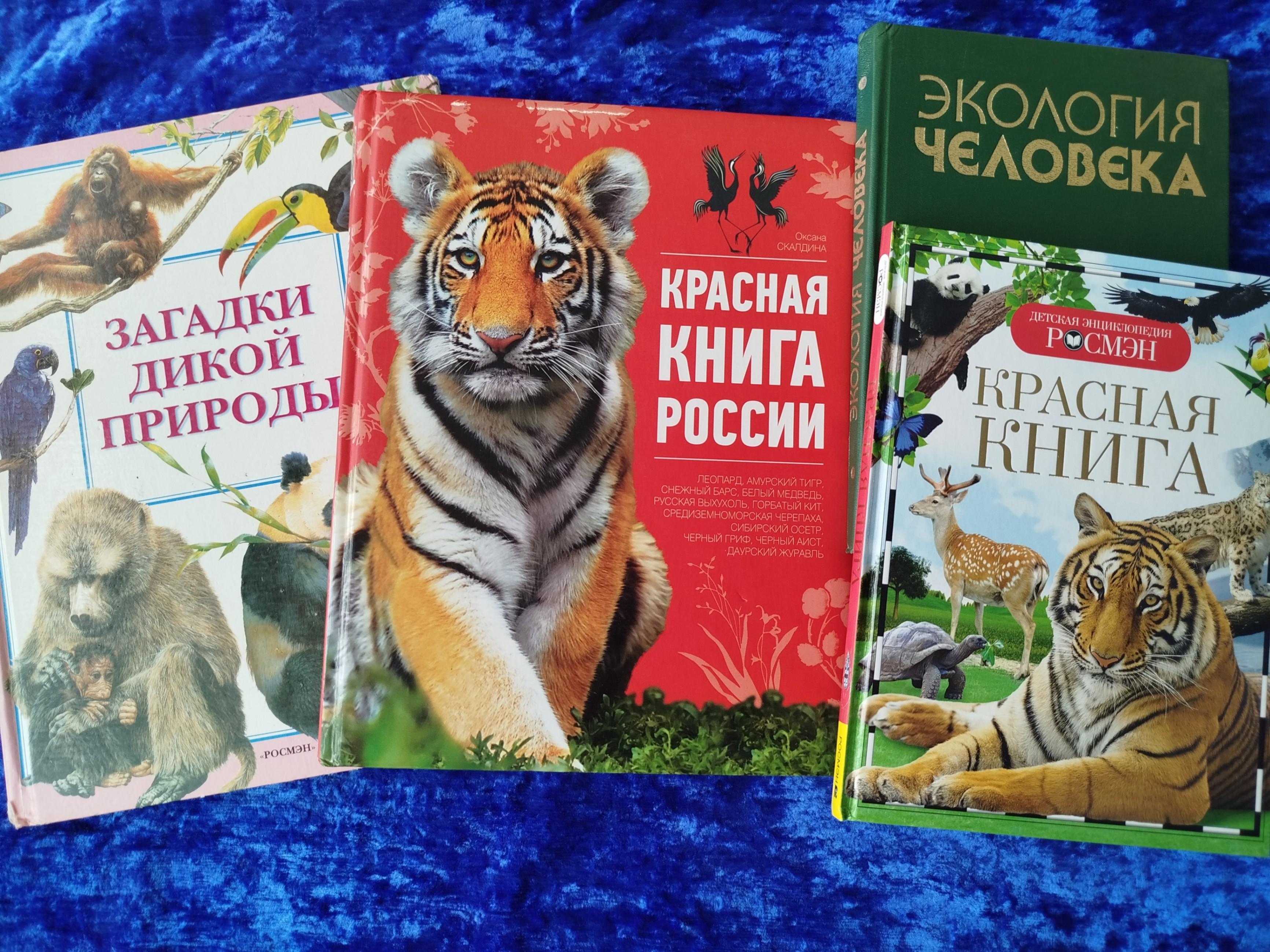 Книжная выставка «Экология. Природа. Жизнь»