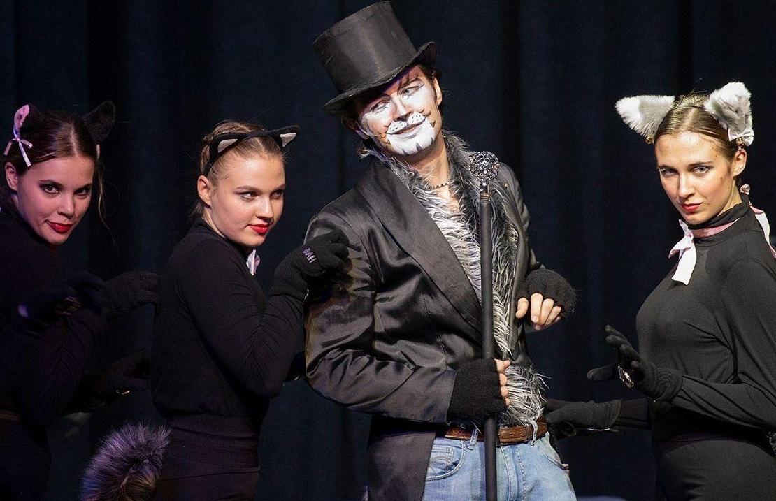 Спектакль «Маша и Витя против «Диких гитар»