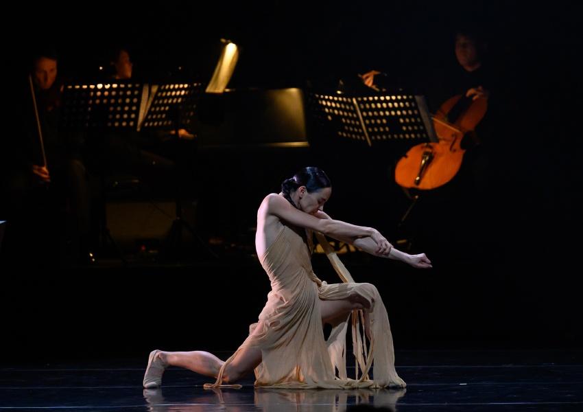 Лекция на тему: «Свет со сцены: Диана Вишнёва»