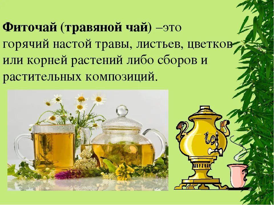 Посиделки«В гостях у чая- фиточай»