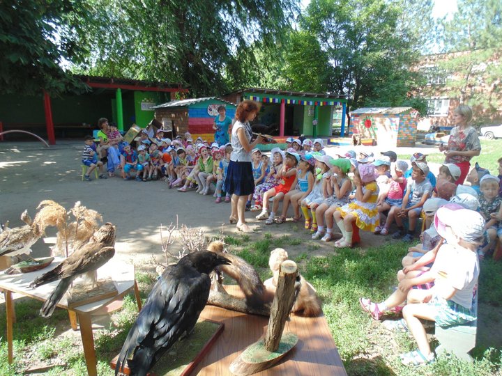 «Выставка для детей –«Животный мир Кубани»»