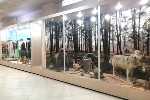 Экспозиция Музейно-выставочного комплекса Новотроицка