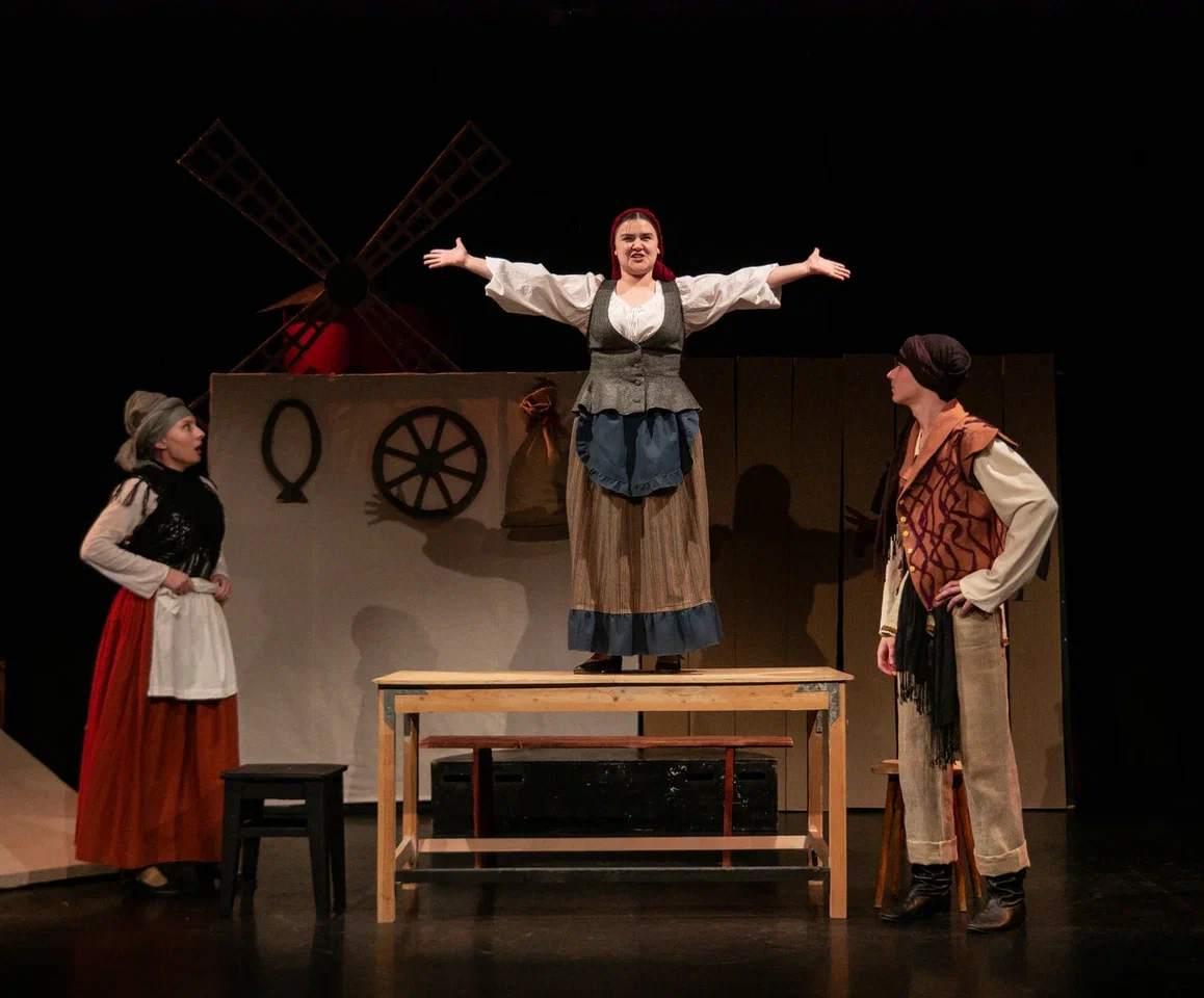Спектакль «Дульсинея Тобосская»