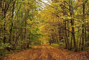 Экологическая игровая программа «Природное богатство округа»