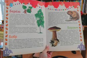 Экологический круиз «Лес-наше богатство»