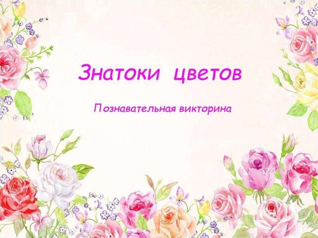 Познавательная викторина «Цветочная феерия»