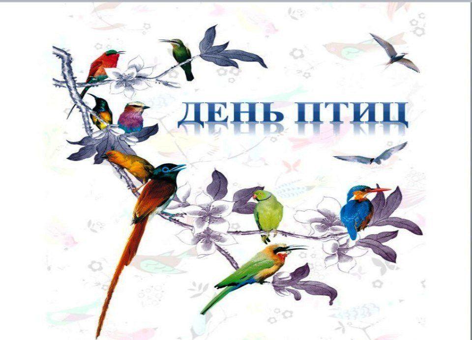 «кошлар безнен дусларыбыз»