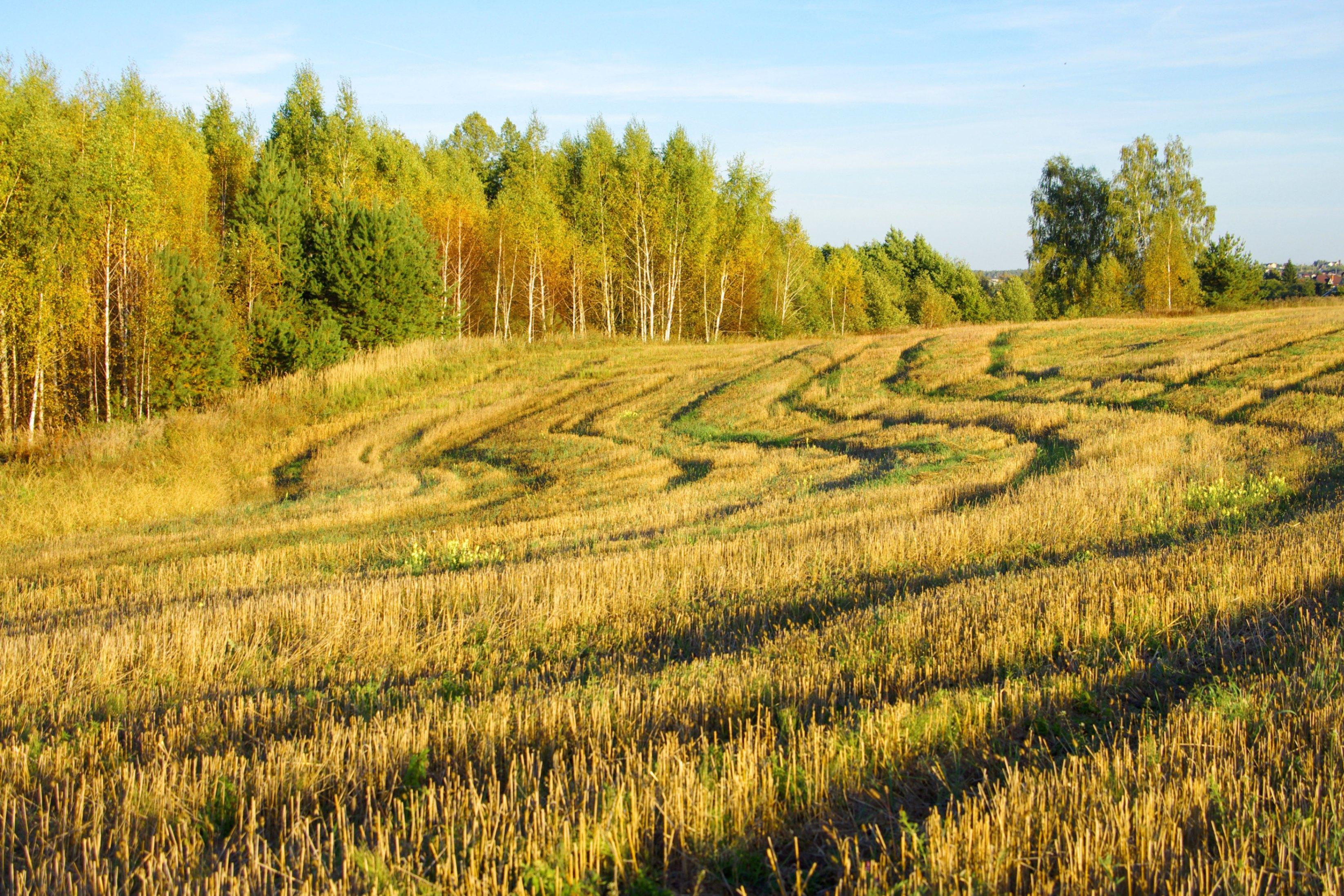 «Золотая осень»