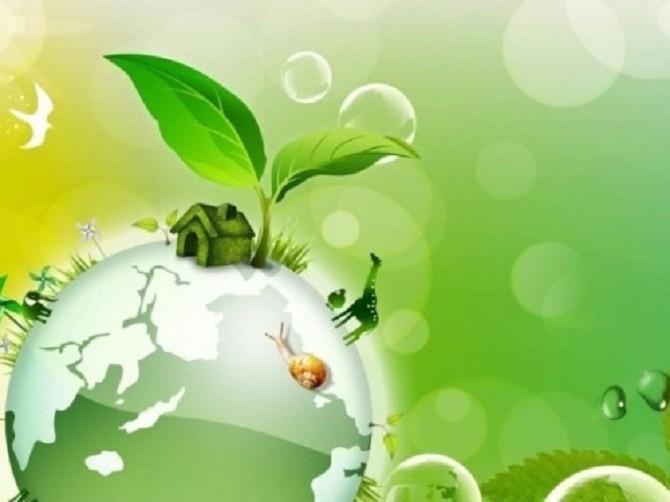 Книжная выставка «В экологию через книгу»