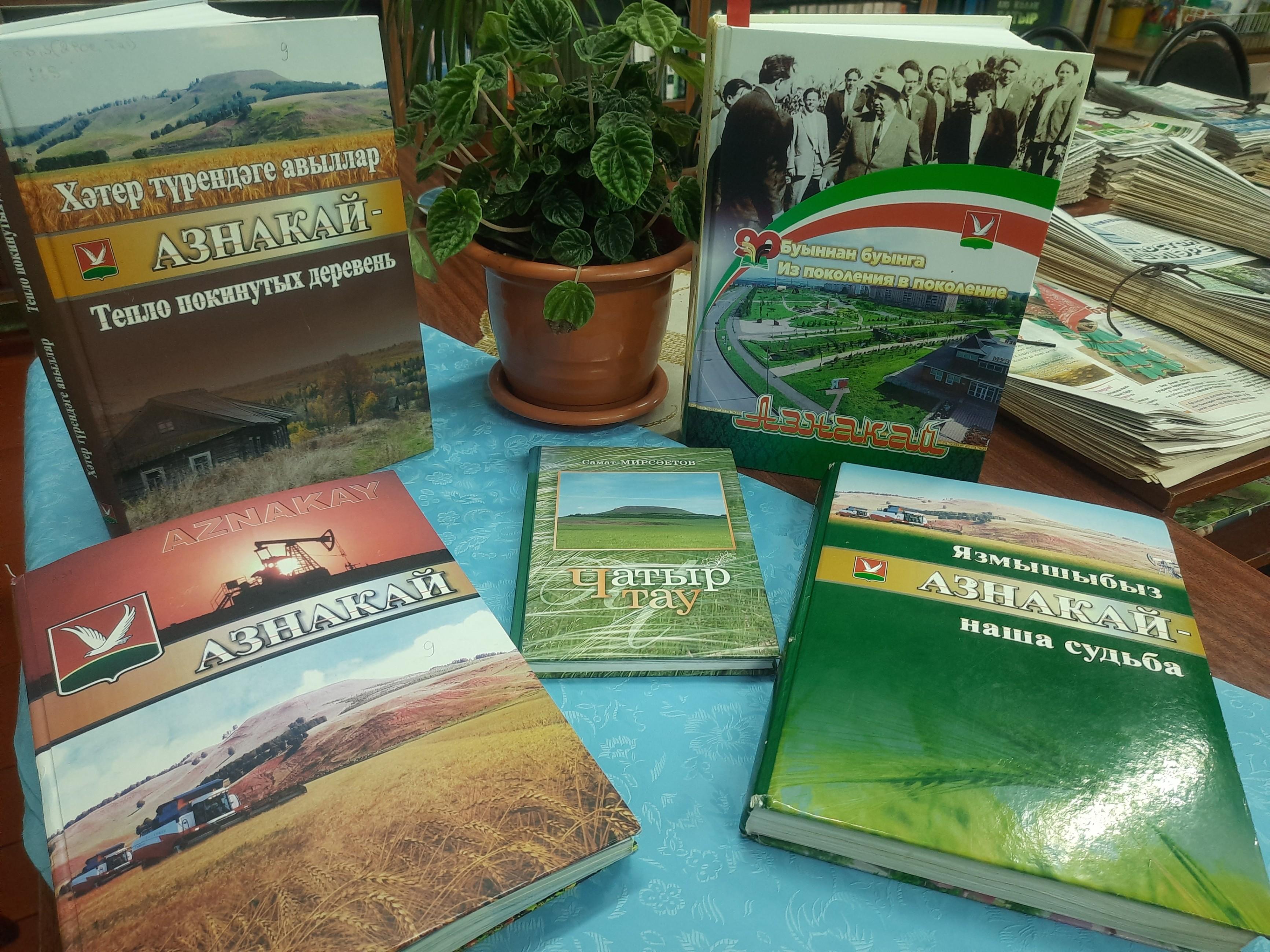 Программа «Книгу прочитай – все о крае ты узнай»
