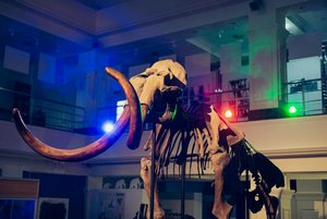 Экспозиции Ямало-Ненецкого музейно-выставочного комплекса