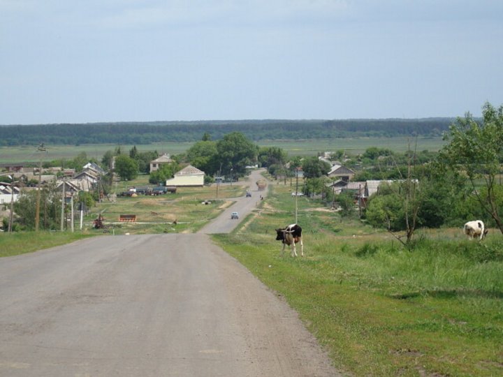 Ульяновская область майнский район село березовка фото