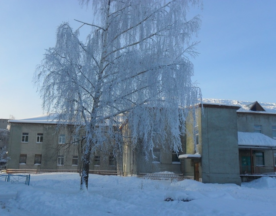 Выкса Школы Фото