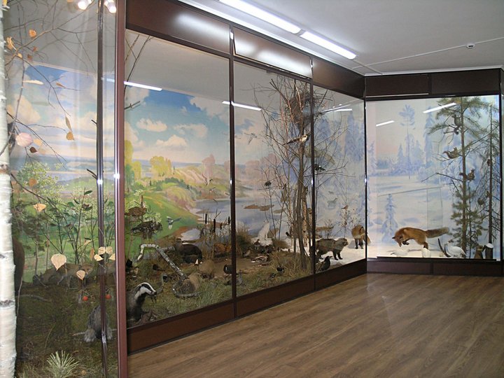 Экспозиция Музея природы края