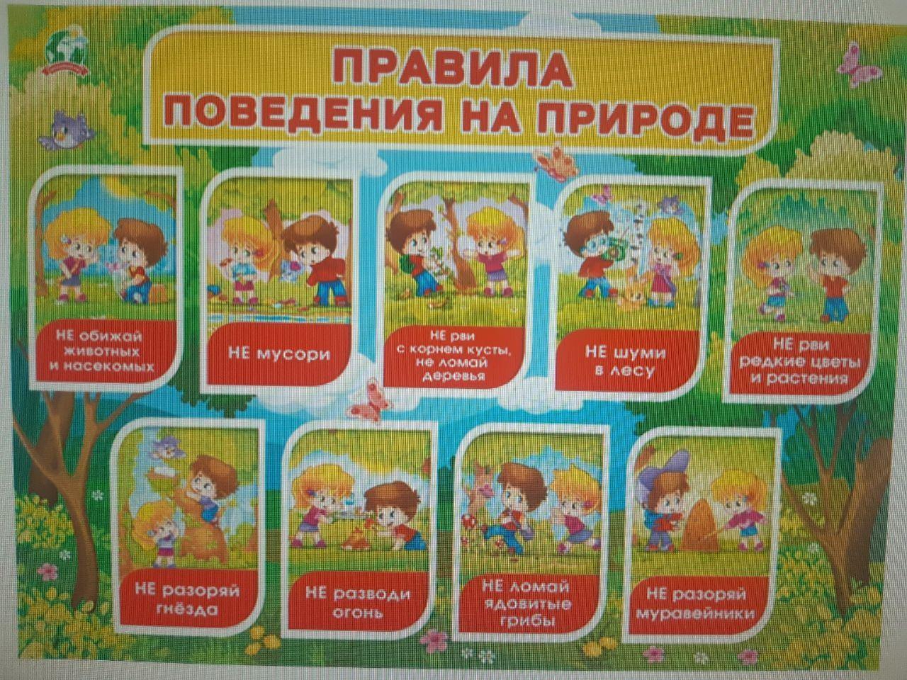 Правила поведения на природе