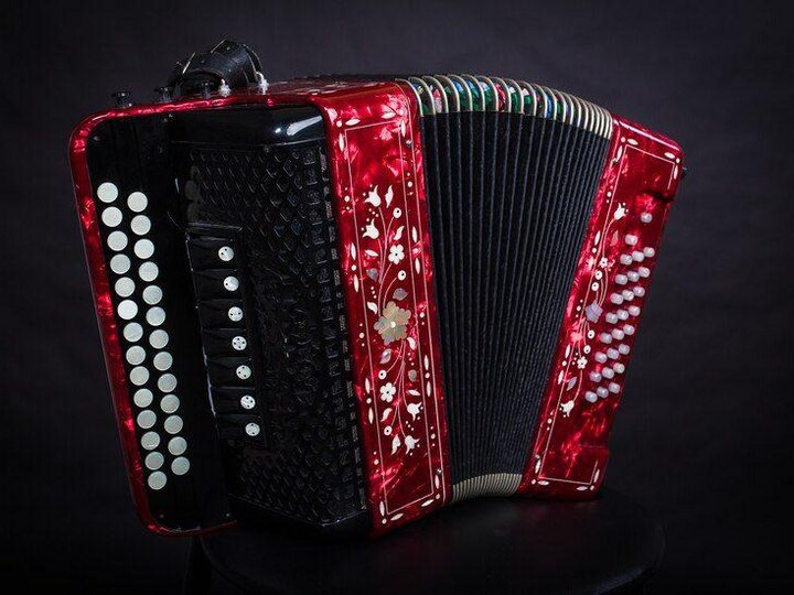 <small>Автор: dustick.</small> <small>Источник: https://ru.freepik.com/premium-photo/russian-folk-instruments-red-bayan-on-a-black-backgroundrussian-accordion_17920450.htm#query=%D0%B3%D0%B0%D1%80%D0%BC%D0%BE%D0%BD%D1%8C&position=5&from_view=search.</small>