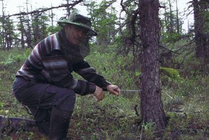 «Путь в науке Николая Ловелиуса»