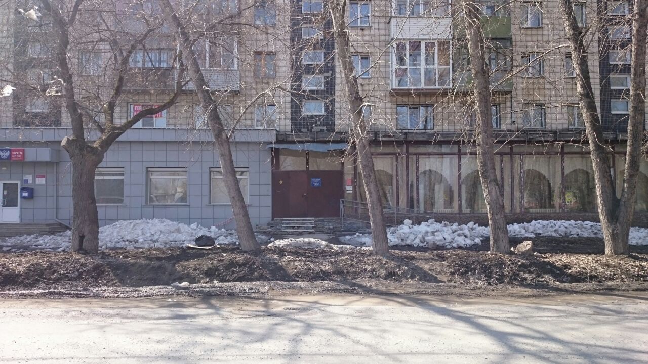 Библиотека им. М. Горького г. Новосибирска