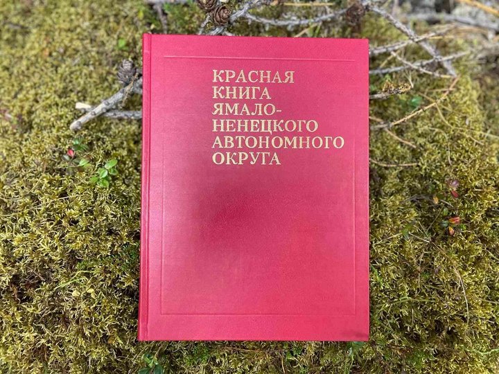 Занятие «По страницам Красной книги»