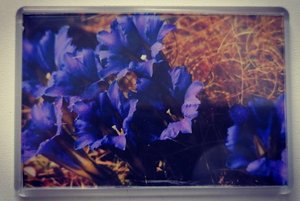 Мастер-класс «Изготовление магнитов»