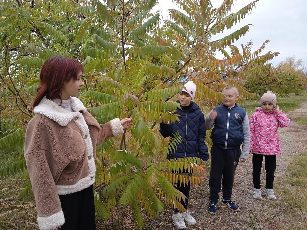 Экологическая программа «Экологический дозор»
