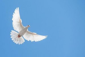 «Всем миром против терроризма»