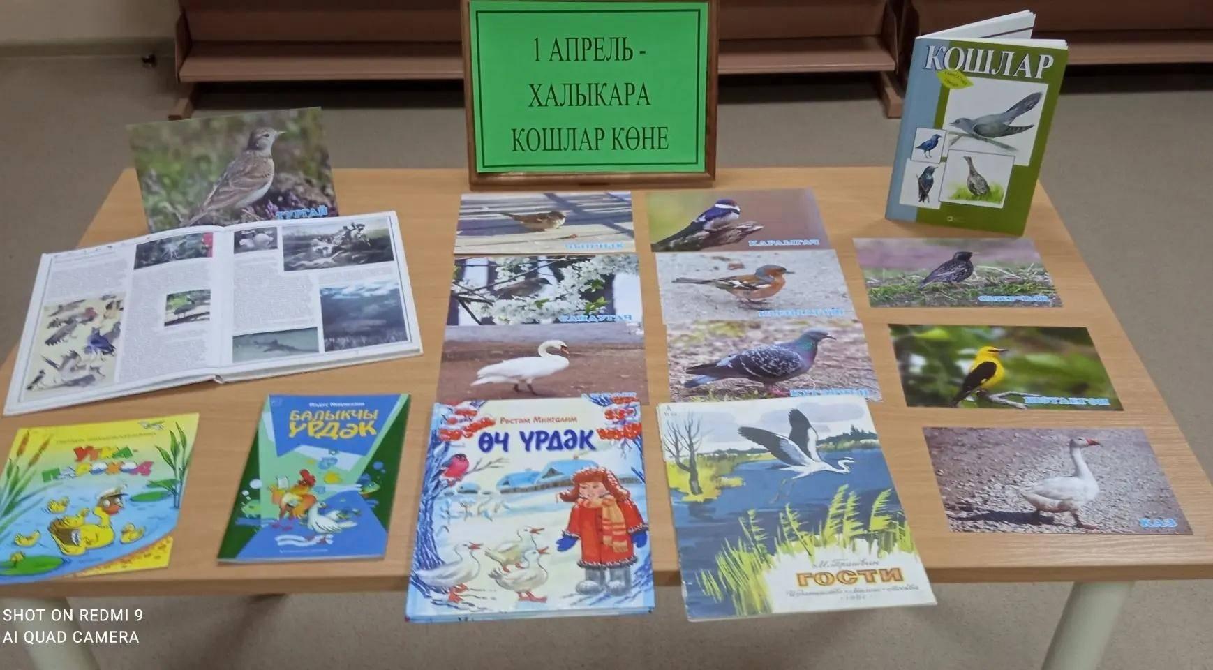 Книжная выставка «1 апреля Международный день птиц»