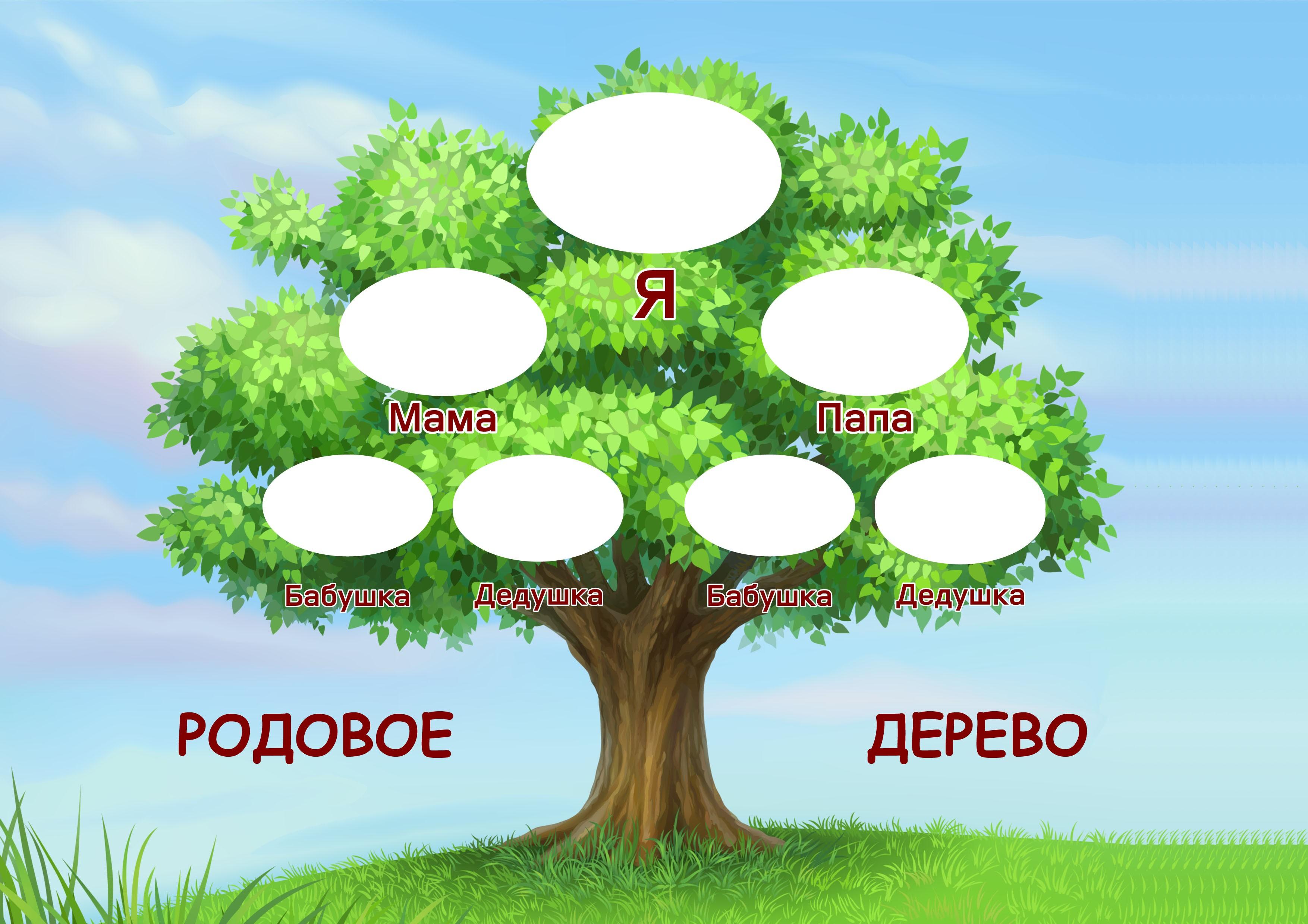 Моя родословная«Шажаре»