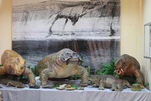 Выставка «Палеонтологические раскопки профессора В. П. Амалицкого»