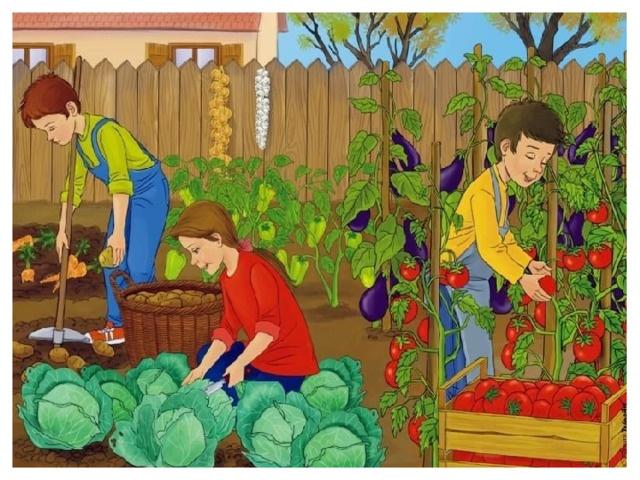 Час общения «Огород и дача – большая удача»