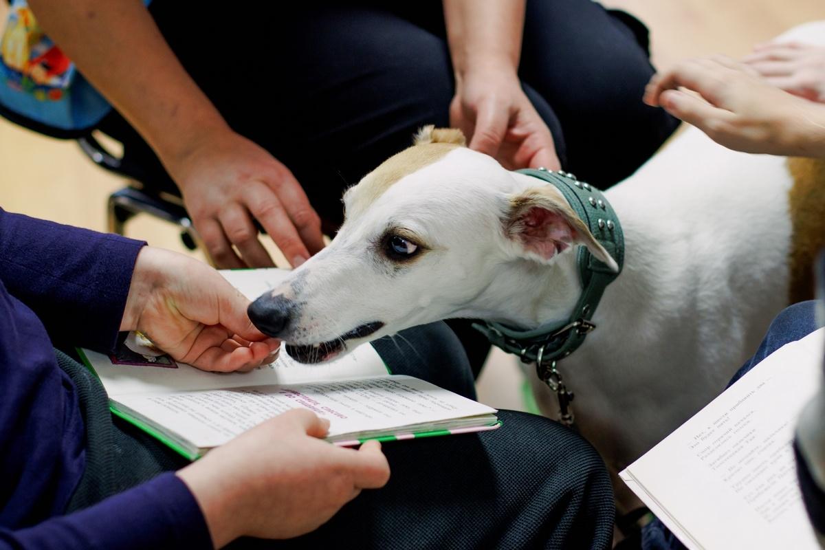 Хвостатые чтения