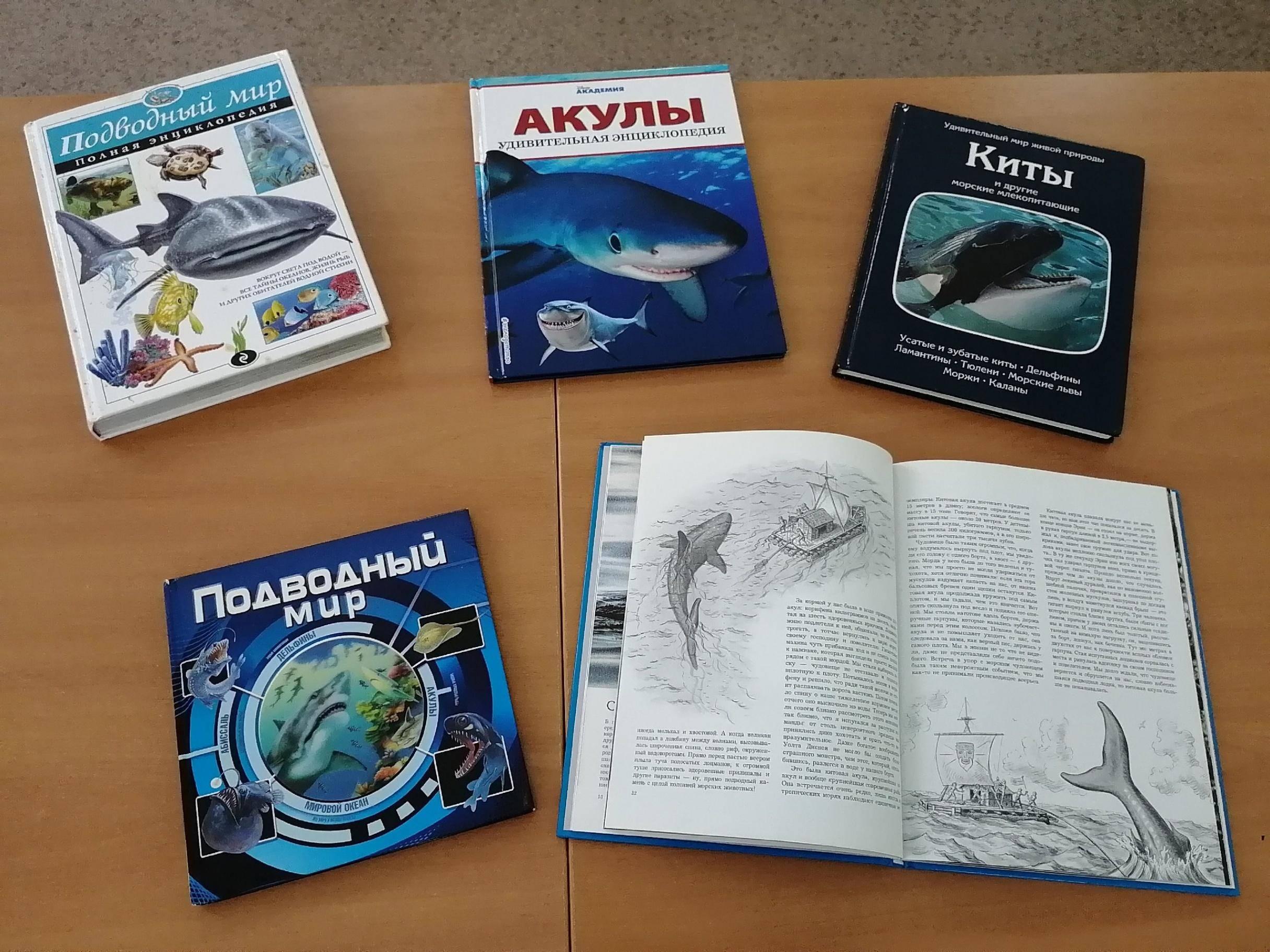 «Властелины морских глубин»