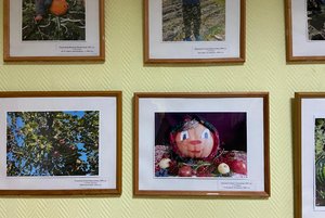 Выставка «Вот это урожай!»