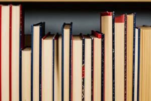 Книжная выставка под названием «Герои Земли Российской»