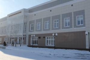 Программа «Мозаика культур»