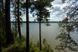 Программа «Зеленые символы Пермского края»