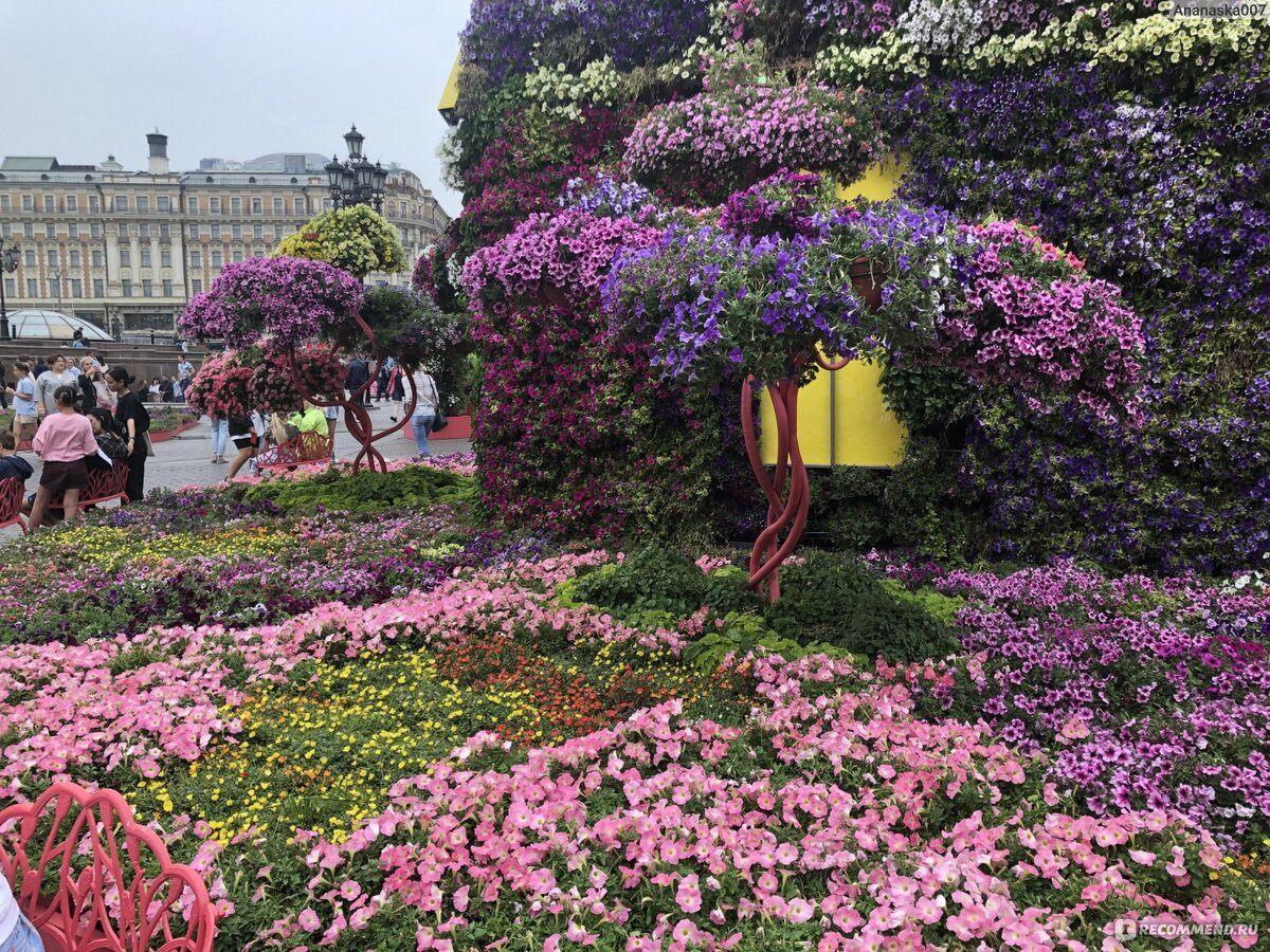 Виртуальный экскурс «Цветочные поляны»