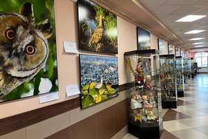 Выставка «Первозданная Россия» из Омского музея просвещения.